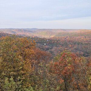 Meet your Posher, Jes